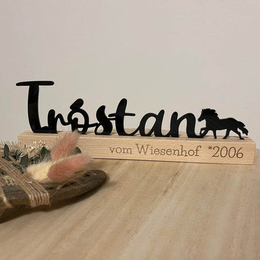 Individueller Aufsteller aus Acryl