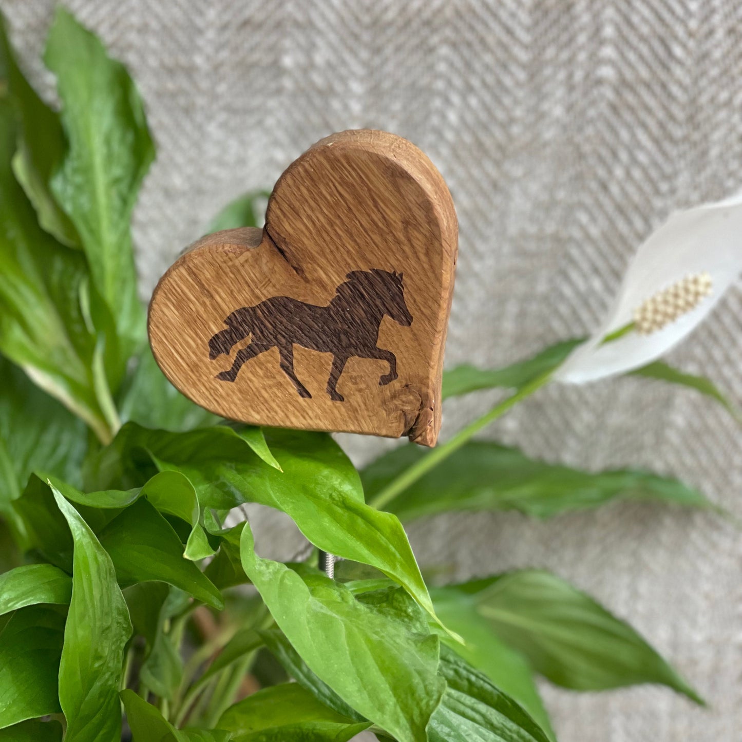 Blumenstecker "Tölter"