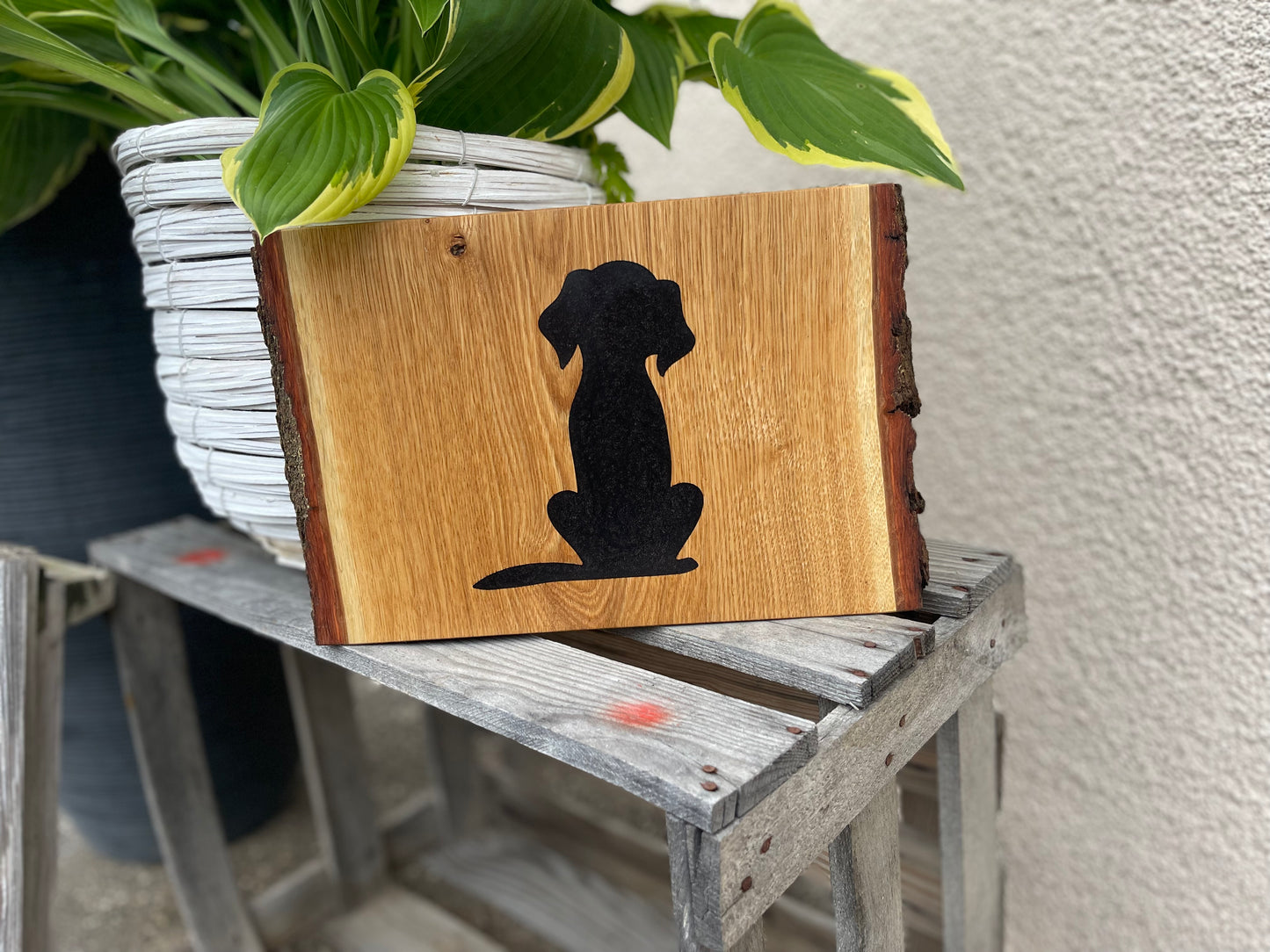 Epoxid Dekoboard Hund "schwarz"