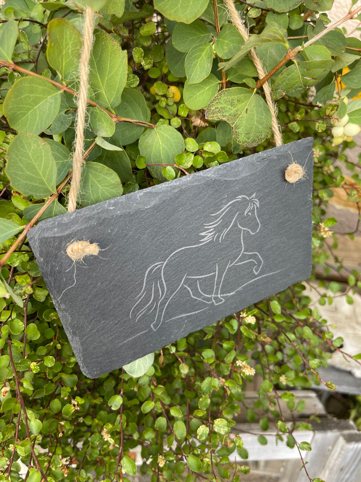 Schiefertafel "Tölter"