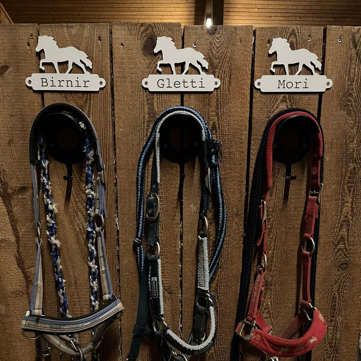 Individuelles Halfterschild, weiß