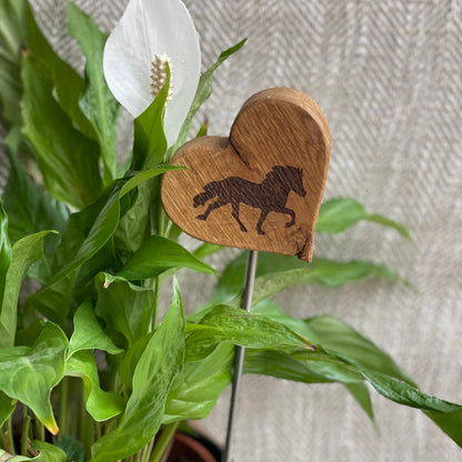 Blumenstecker "Tölter"